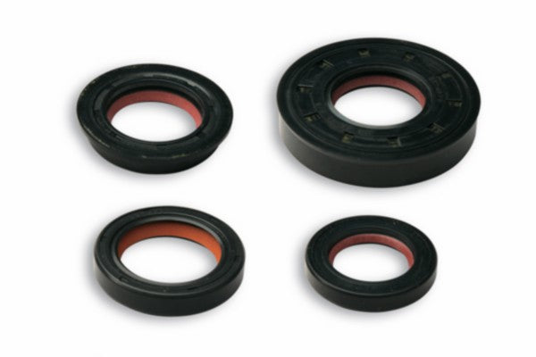 Keerringset minarelli hor+vert malossi 6619160