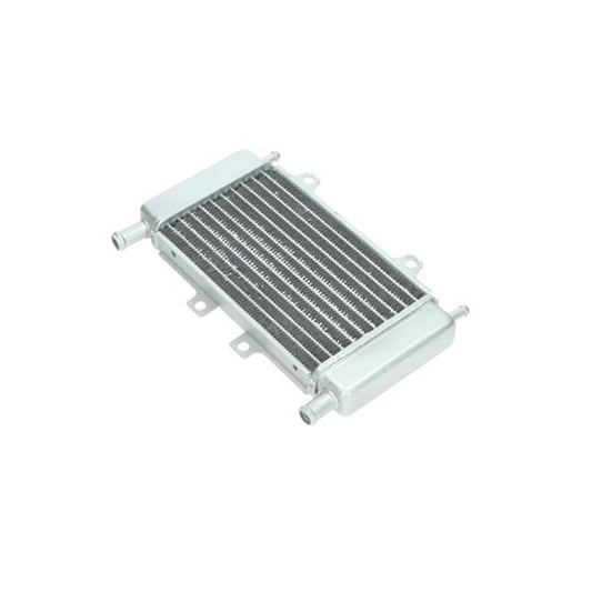 Radiateur Zip2000SP/Runner 50 DMP