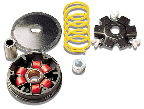 Malossi Multivar Honda 2T, Wallaroo en Peugeot Rapdio M.517073