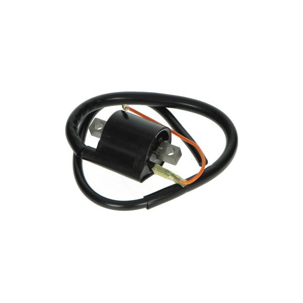 Bobine Yamaha Aerox/BW/Neo DMP